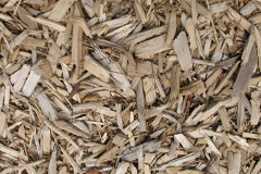 biomass boilers Quoyness